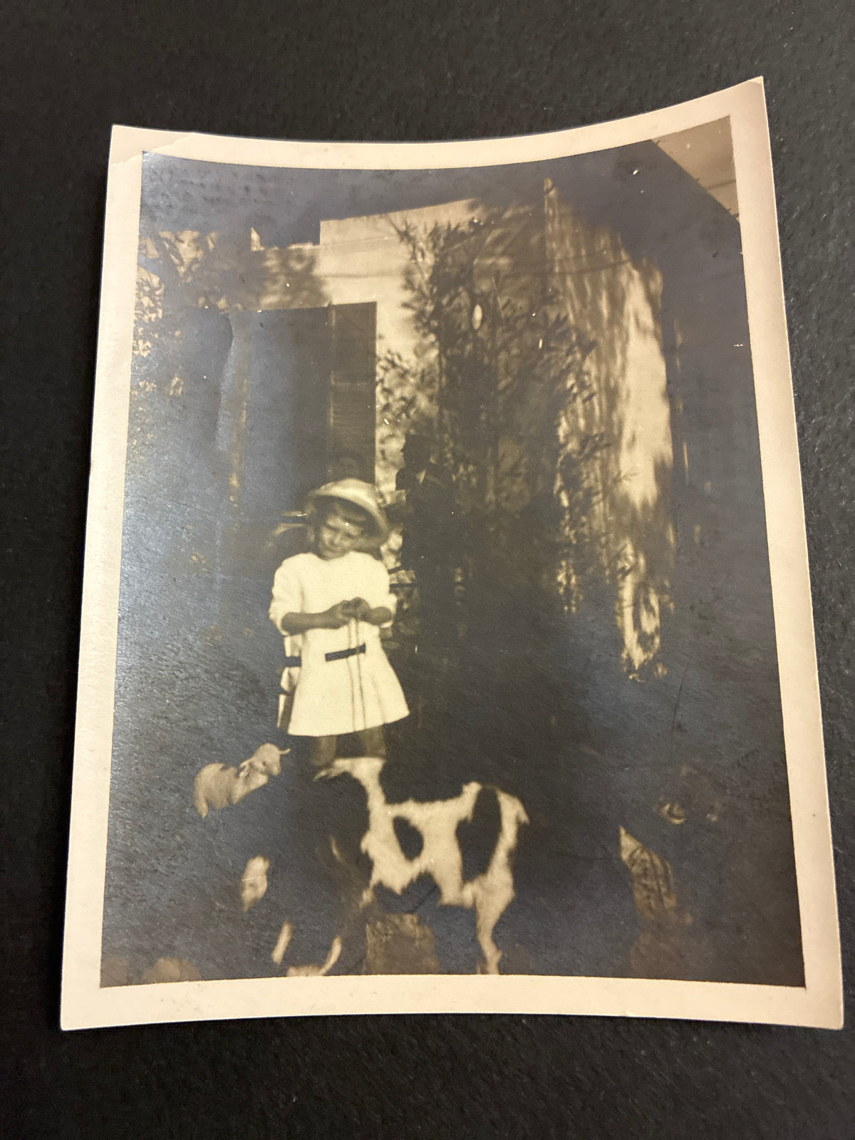 FOTO EPOCA PRIMI 900 CON CANI INFANZIA ARCHIVIO FAMIGLIA DABALÀ