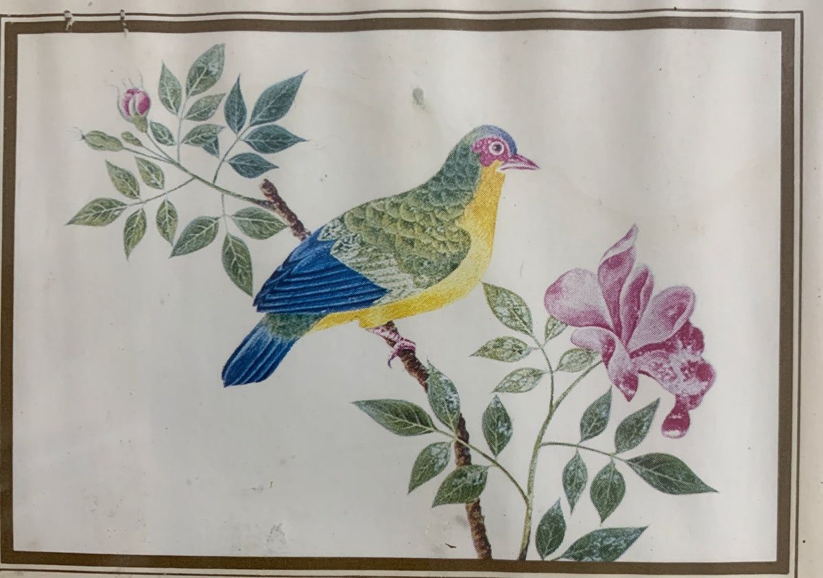 Quadretto Vintage Scandecor – Stampa Ornitologica Uccello e Fiore in Cornice di Legno