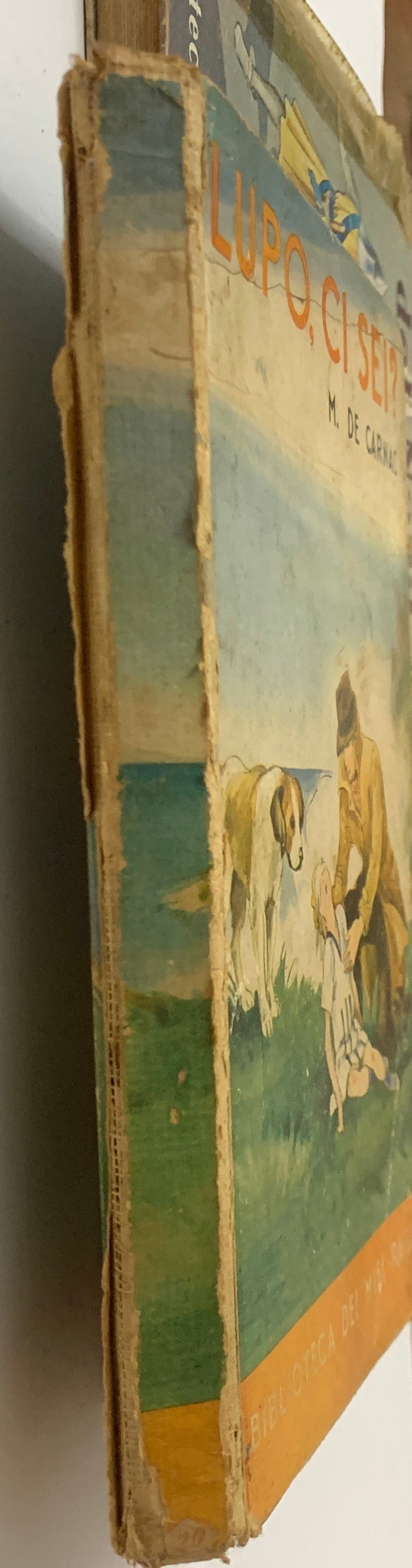 Lotto 6 Libri Vintage "Biblioteca dei Miei Ragazzi" - Editrice Salani Firenze (Anni '30/'50)