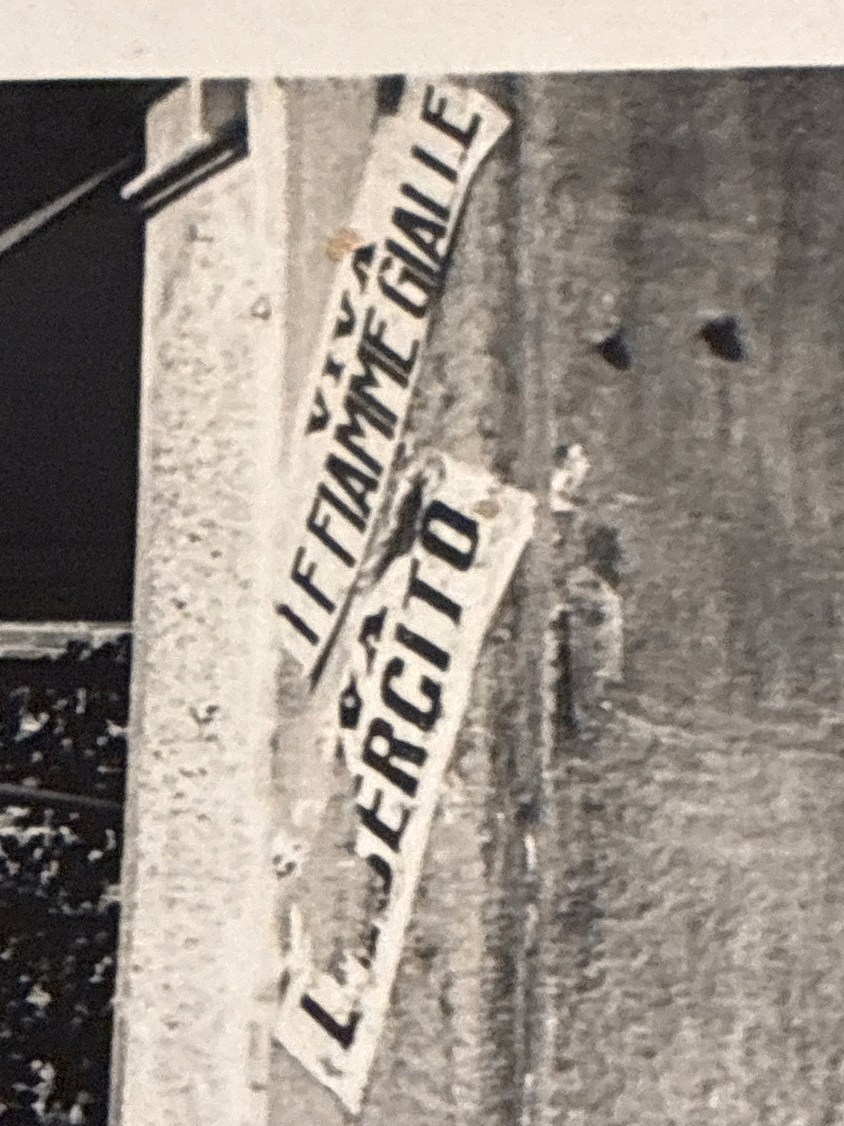 Foto Unica e Inedita WW2 - Ufficiale della Regia Guardia di Finanza con Cartello Propaganda Viva le Fiamme Gialle