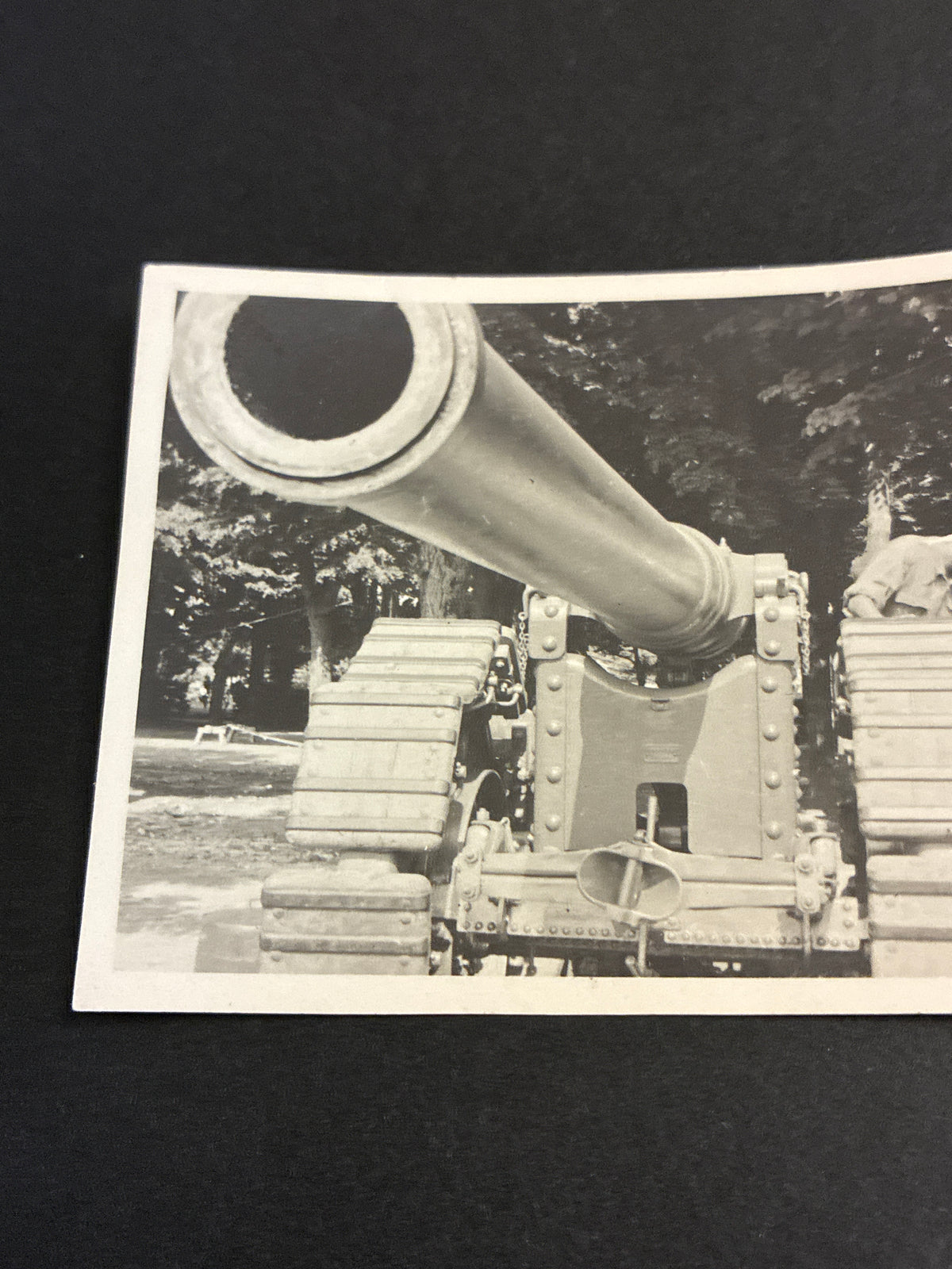 Foto Cannone 149/35 Regio Esercito Cingoli Bonagente Carlo Dabalà