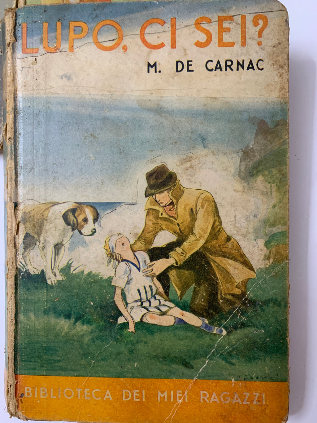 Lotto 6 Libri Vintage "Biblioteca dei Miei Ragazzi" - Editrice Salani Firenze (Anni '30/'50)