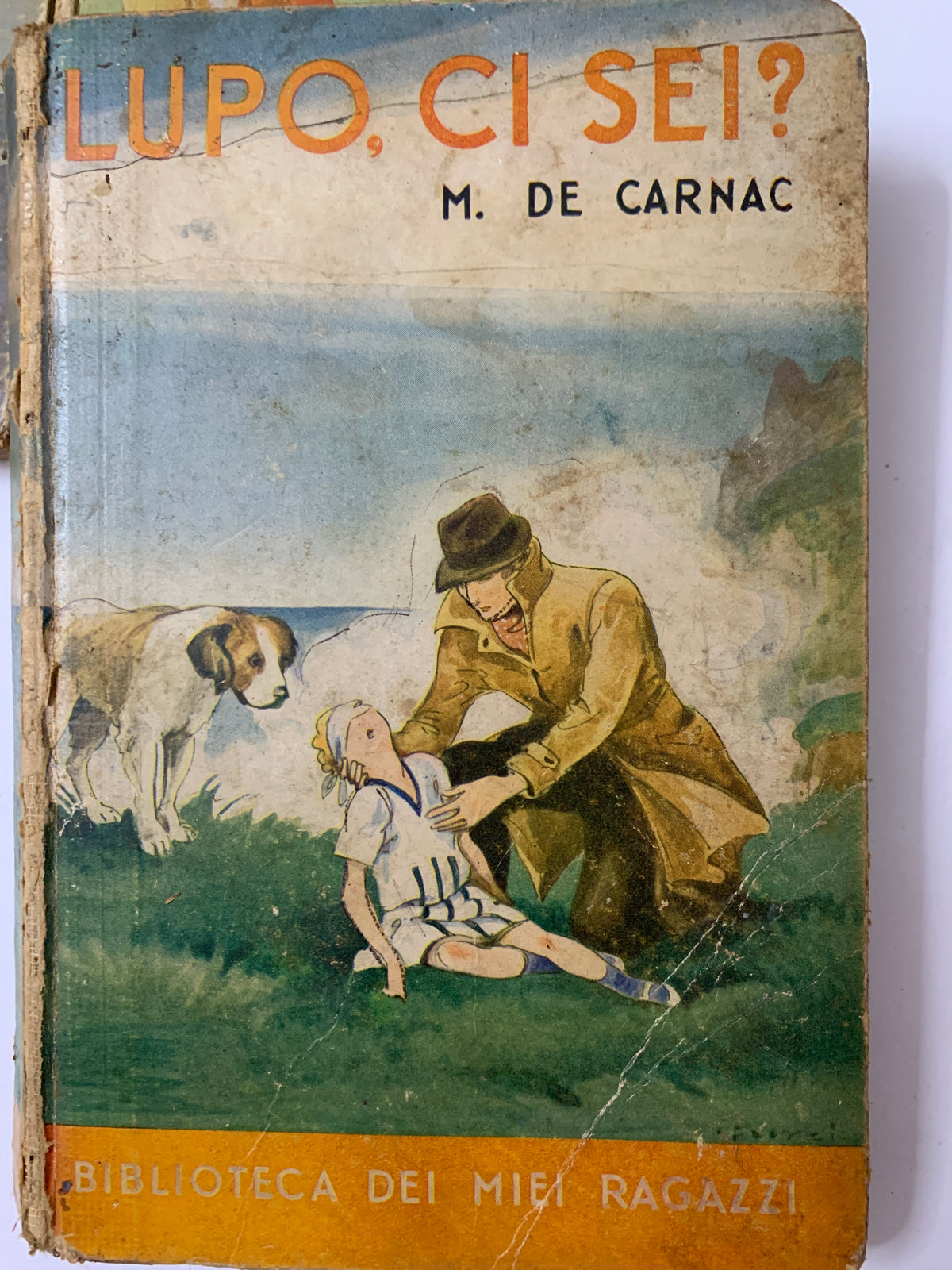 Lotto 6 Libri Vintage "Biblioteca dei Miei Ragazzi" - Editrice Salani Firenze (Anni '30/'50)