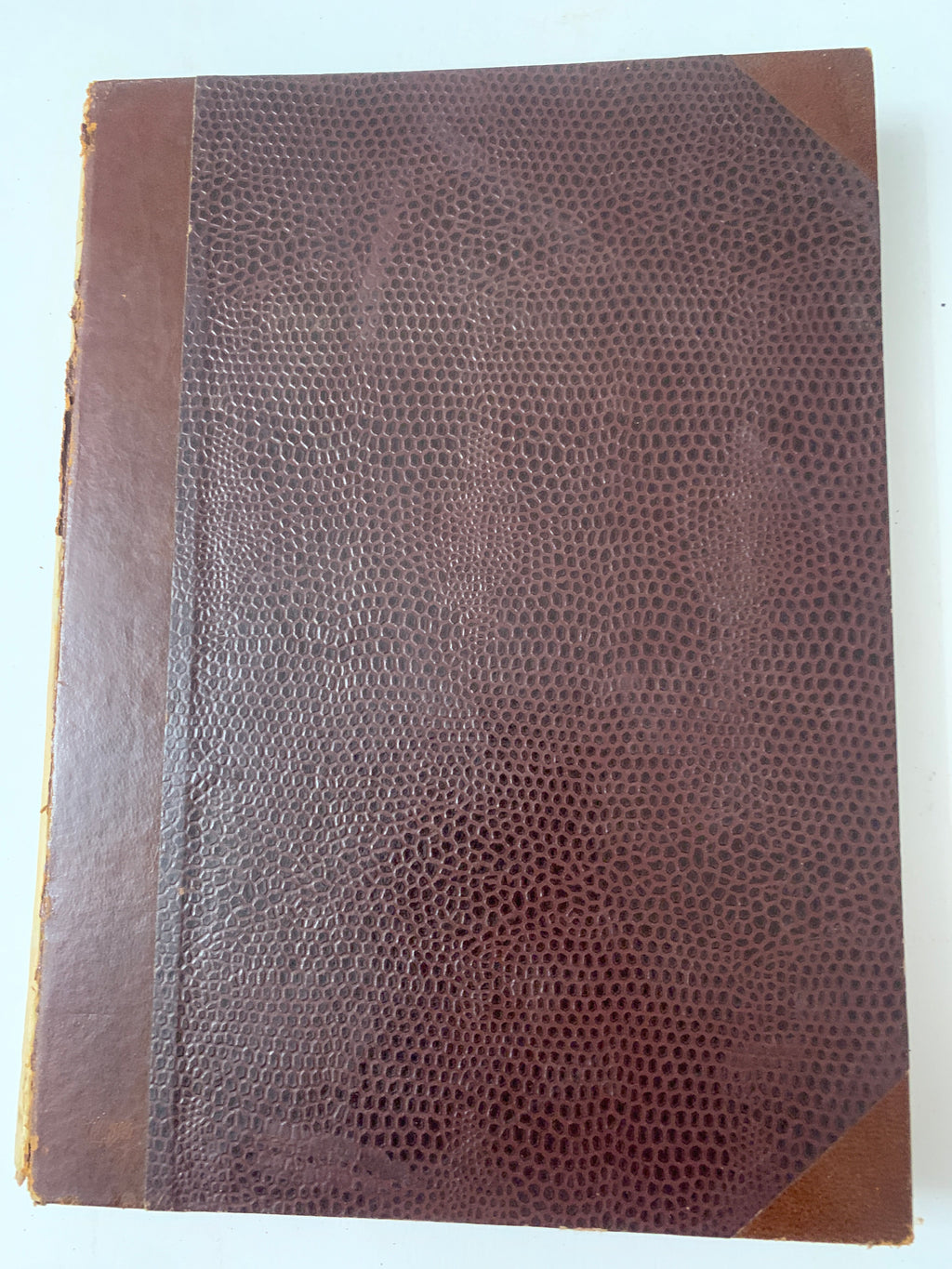 Trilussa - Le Favole - A. Mondadori Milano 1930