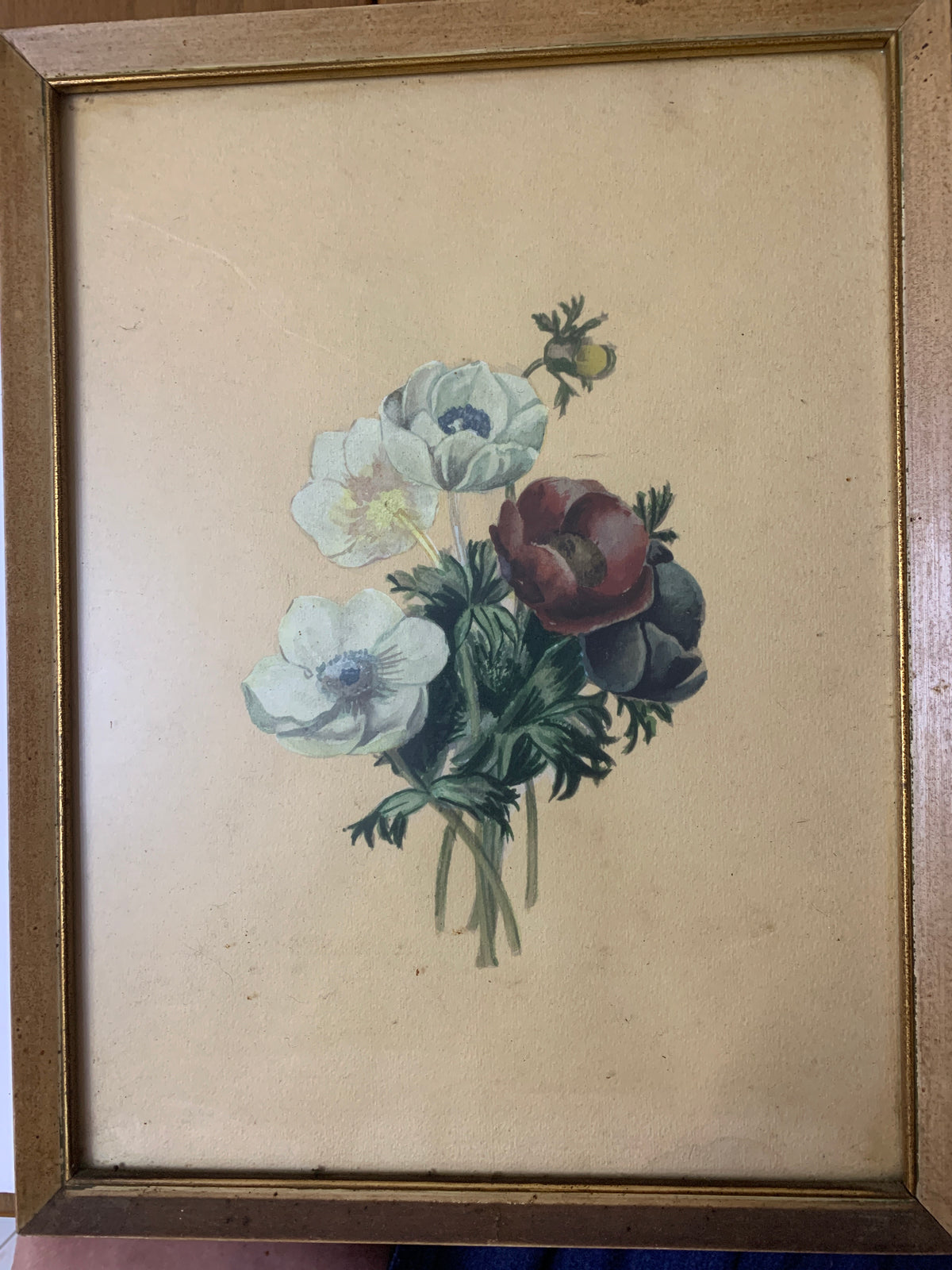 Quadro vintage con stampa botanica "Mazzo di Anemoni" - Con cornice in legno dorato e vetro