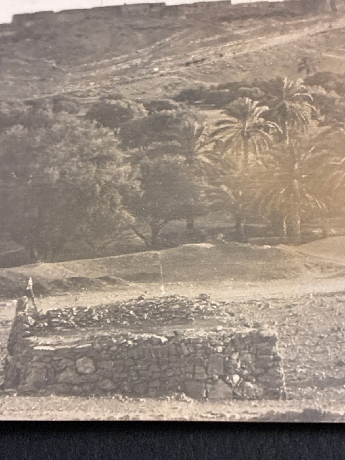 Cartolina Coloniale Libia - Veduta Panoramica dell'Oasi con Palmeto e Abitazioni - Non Viaggiata