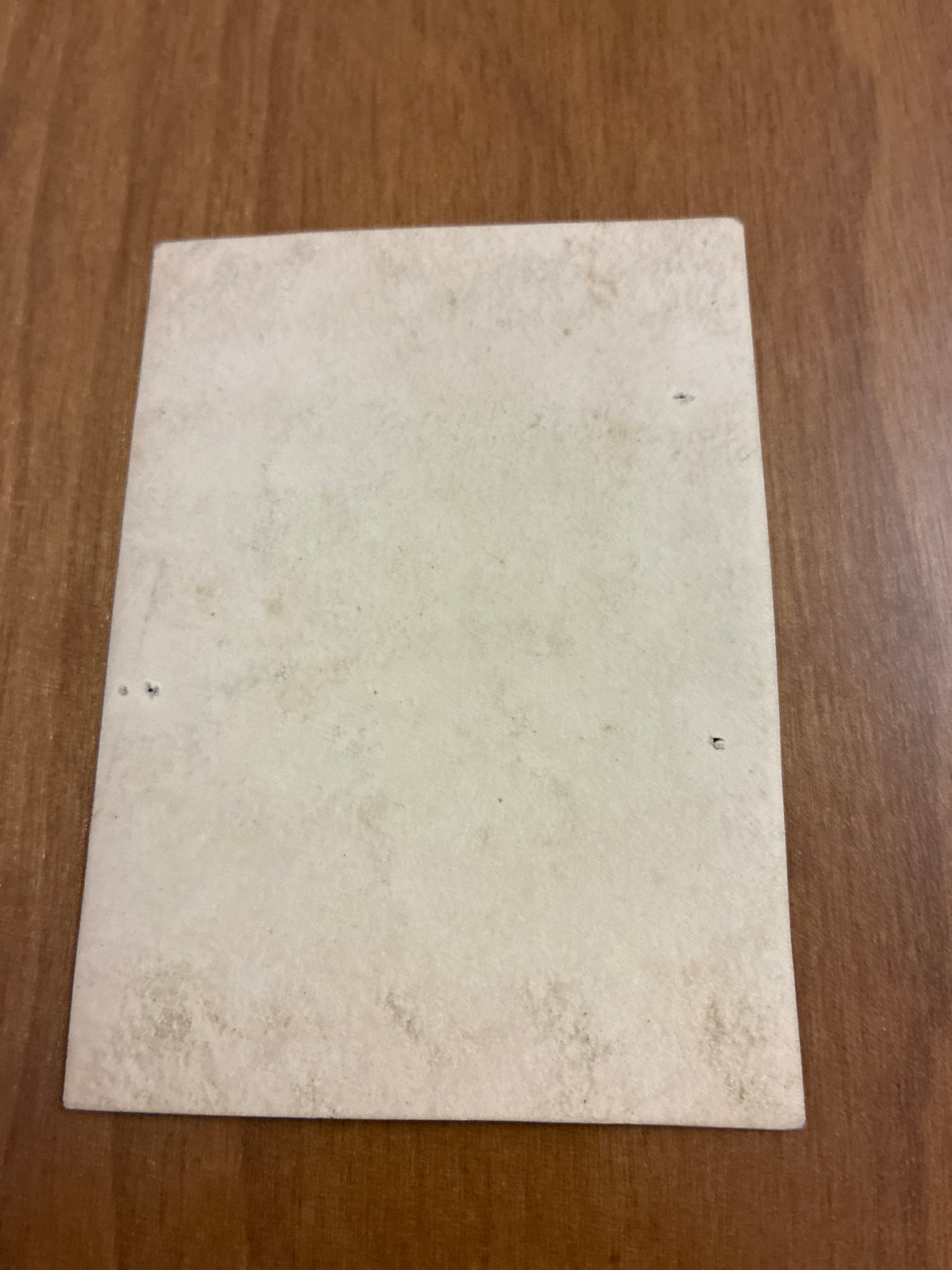 Foto ricordo di soldati del Regio Esercito nell'oasi libica