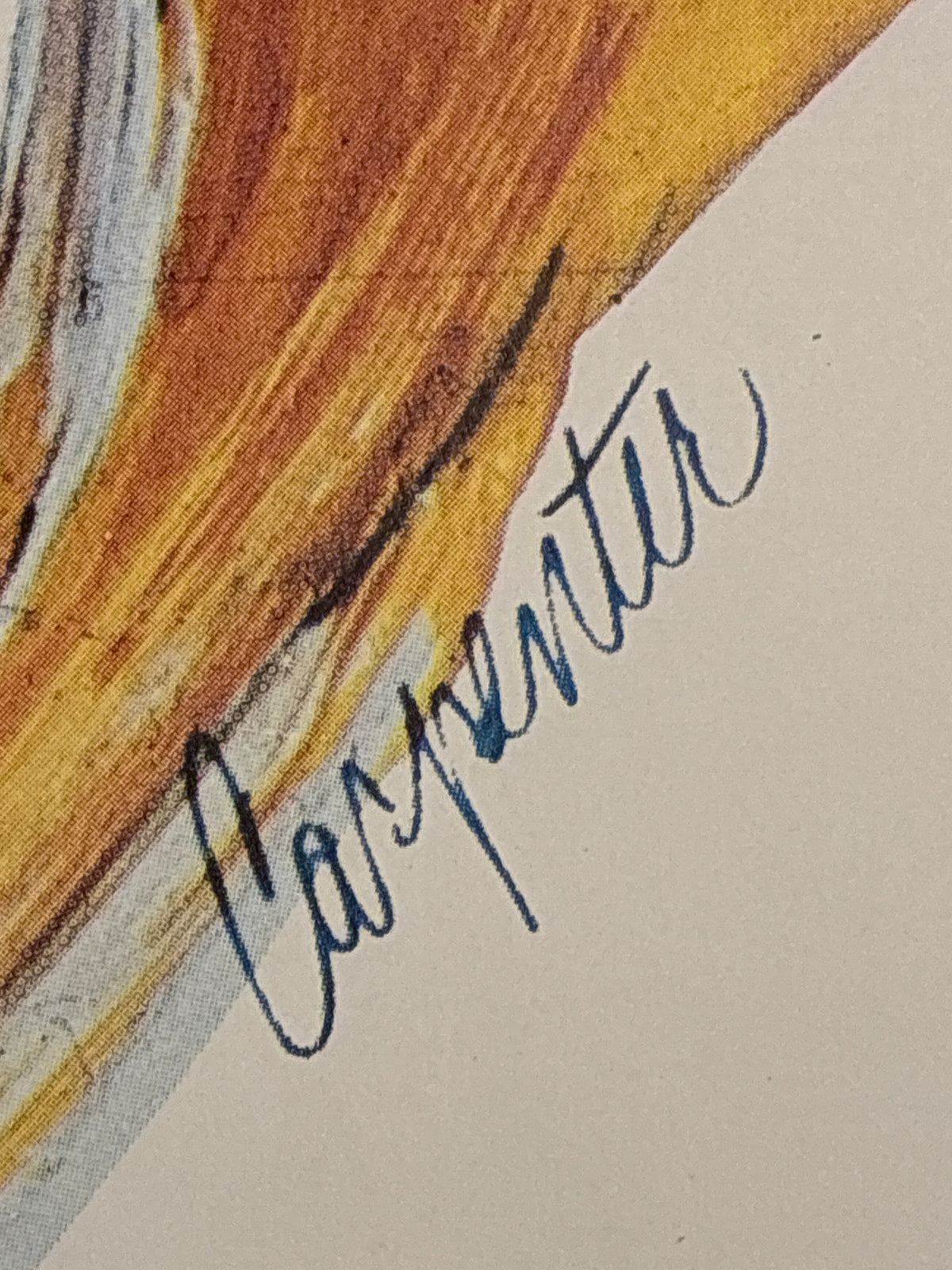 Manifesto turistico vintage "Monte-Carlo" Steve Carpenter - Edizione d'epoca Imprimerie Baud